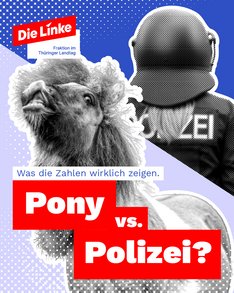 Polizeiverletzungen_Slide_1